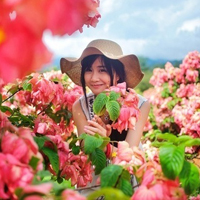 女生风景头像唯美好看的qq头像女生风景小清新图片