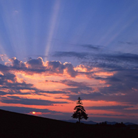 風景圖片頭像唯美夕陽絕美的夕陽圖片唯美頭像