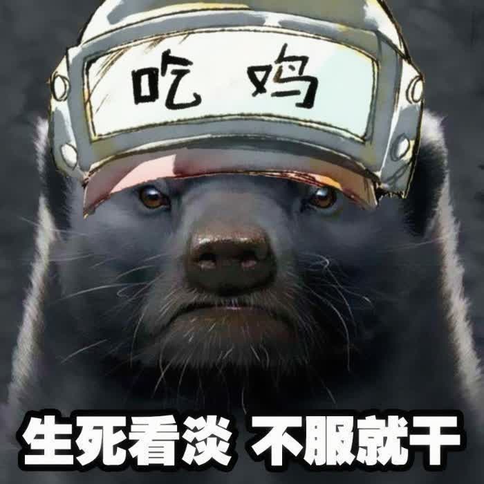 霸气吃鸡头像图片生死看淡不服就干