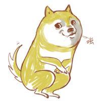 柴犬qq头像图片大全搞笑的可爱柴犬头像图片