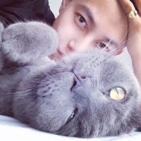 抱着一只猫的男生头像有爱的男生抱在怀里猫咪头像