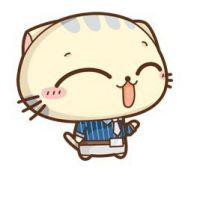 cc猫头像大全卖萌的可爱cc猫头像