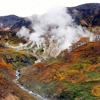 清新自然风景头像 好看的小清新自然风景图片头像