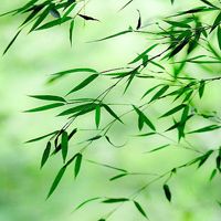 美好风景图片头像象征美好生活风景头像图片