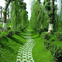 美好风景图片头像象征美好生活风景头像图片