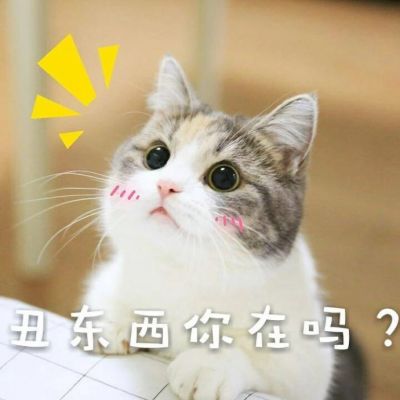 可爱猫咪头像