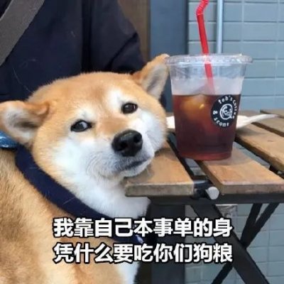 狗头像图片搞笑