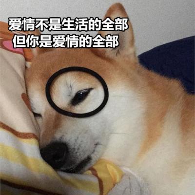 由美头网整理发布