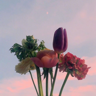 ʻΨͷ ΨʺͷʻͼƬ