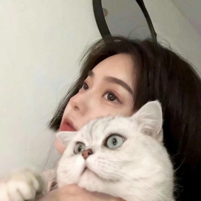 一个女生抱着猫的头像高清好看的好看抱猫女头图片 女生头像 美头网