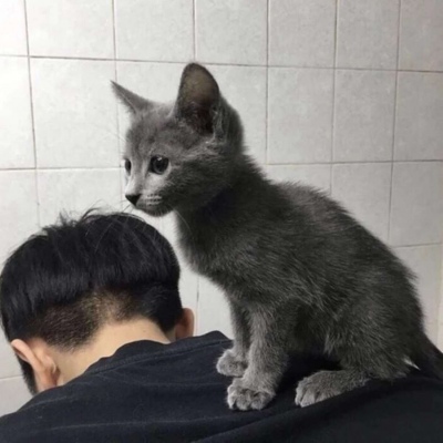 微信头像男不露脸,高清好看的男生头像上半身不露脸图片