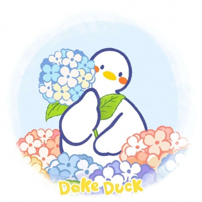 dakeduck大可鸭清新头像图片大全