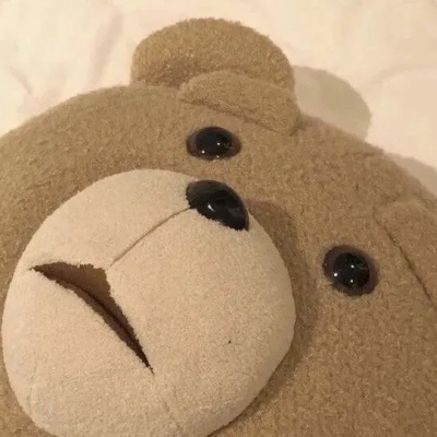 可爱熊头像高清超萌熊的可爱头像图片