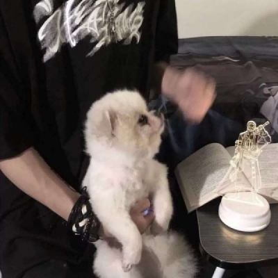 2021微信好看男头像,2021最好看的微信头像 2021最流行头像男 高清2021最流行微信头像男生图片