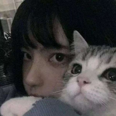 女生抱着猫咪的头像高清漂亮好看ins抱猫的女生头像图片