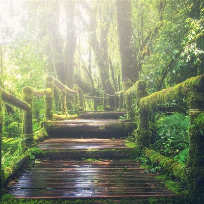 山間路邊優美風景頭像 真實自然景色圖片_風景頭像_美頭網