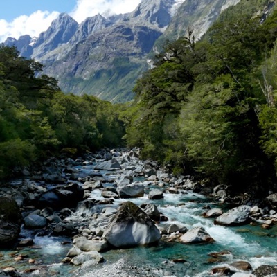 山林间的小溪水风景 山间小溪自然风景图_风景头像_美头网