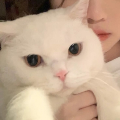 可爱抱猫女生真人头像抱猫咪的可爱女生