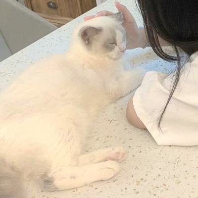 可爱抱猫女生真人头像抱猫咪的可爱女生