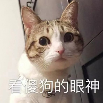 可爱猫咪图片萌萌哒头像 全网最可爱的猫咪头像图片大全_动物头像_美