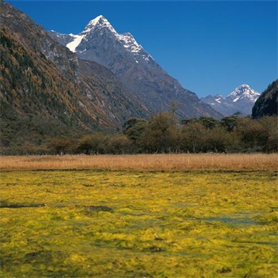 一眼望不到头的高清高山风景头像