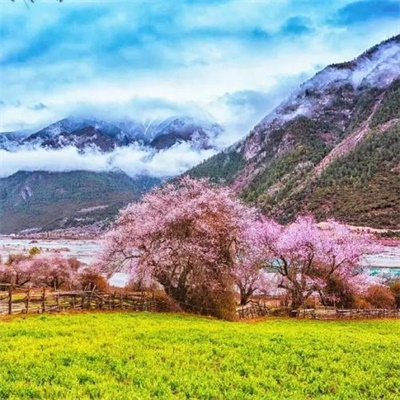 舒心高山超清唯美风景图片头像